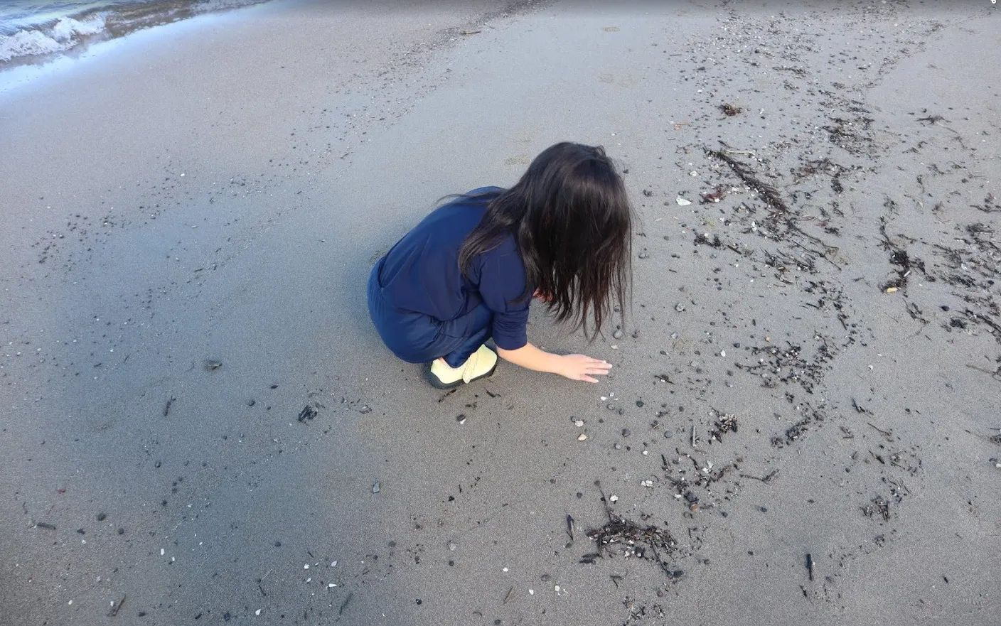 プラごみ